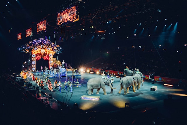 Circus